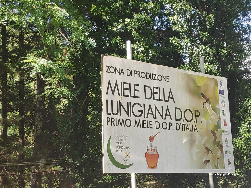 (54014) Casola in Lunigiana - Strada Provinciale 15 — foto 2