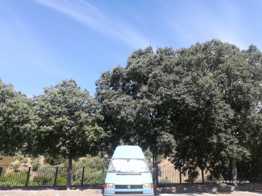 (08040) Triei - 6 Viale Europa — foto