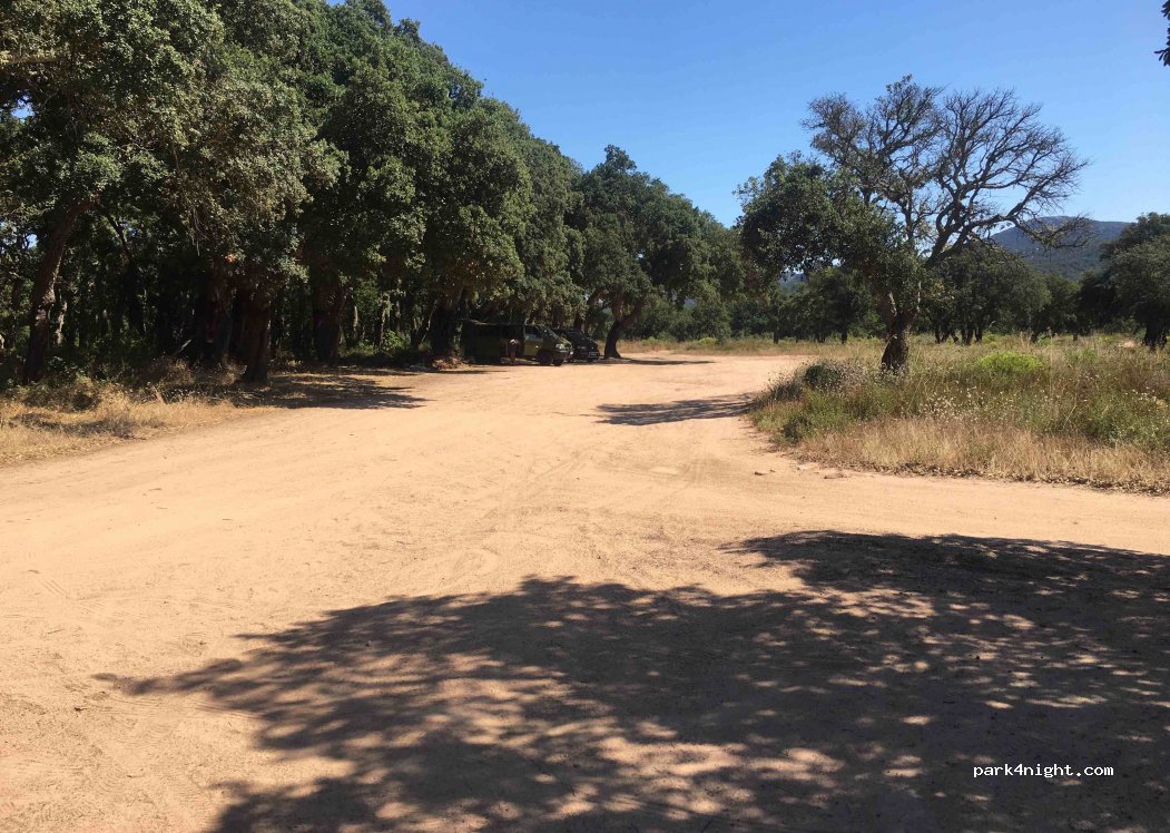(20137) Porto-Vecchio - Unnamed Road — foto