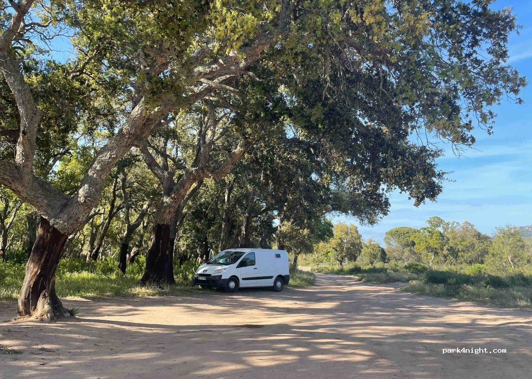 (20137) Porto-Vecchio - Unnamed Road — foto 3