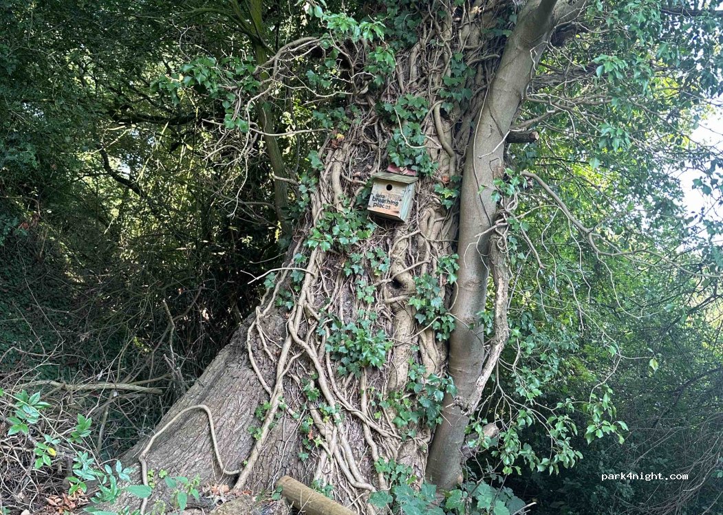 (SY21 8SA) Welshpool - — foto