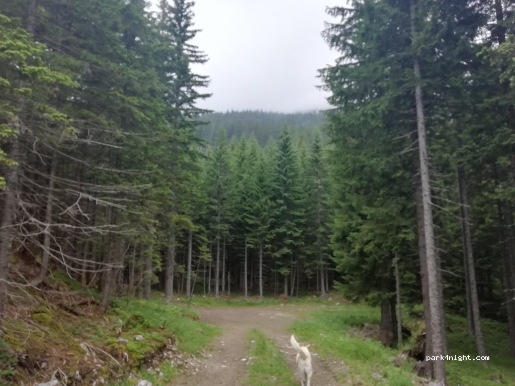 (3334) Raduha - Raduha — foto