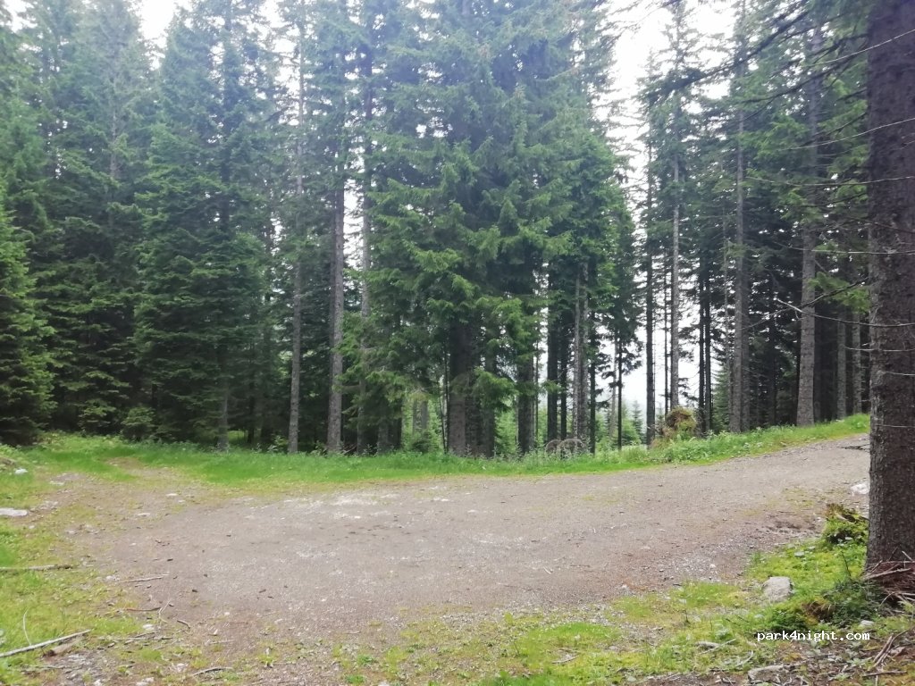 (3334) Raduha - Raduha — foto 3