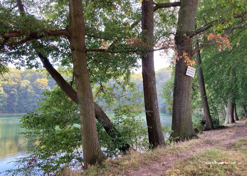 (36457) Urnshausen - Rosatal-Radweg — foto 4