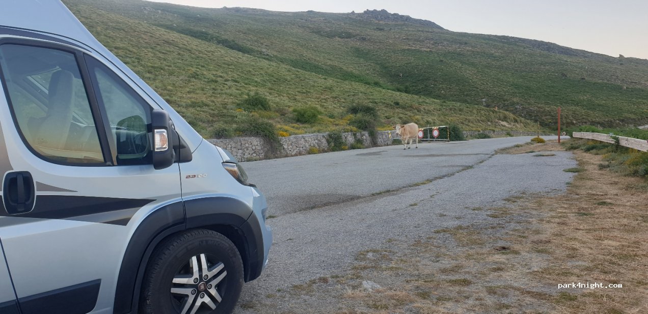 (08049) Villagrande Strisaili - località Bruncu Spina — foto 2