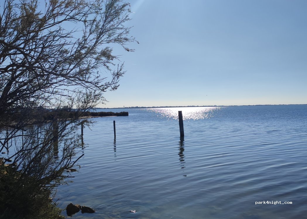 (13200) Arles - Route de Fielouse — foto 5