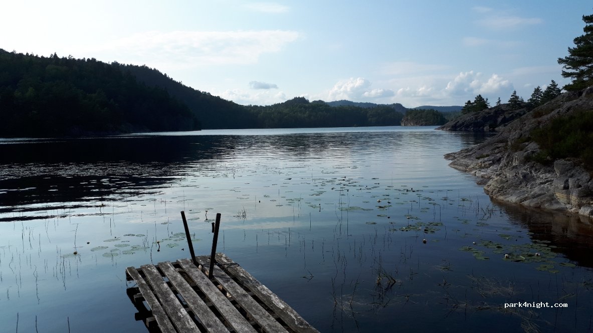(4990)  - Primær Fylkesveg 351 — foto 2