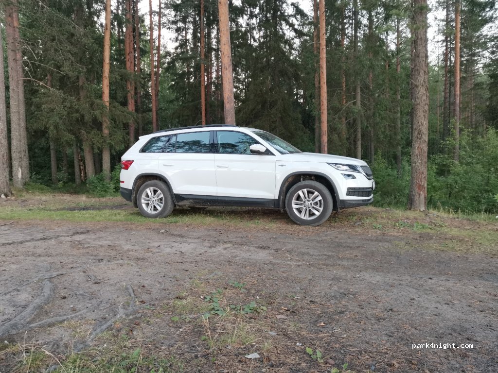 (185506) Novovilgovskoye Sel'skoye Poseleniye - Unnamed Road — foto 2