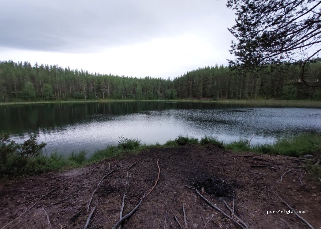 (840 93) Hede - Unnamed Road — foto 4