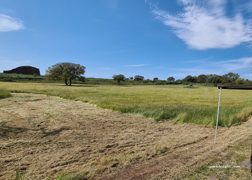 (09071) Abbasanta - località Nuraghe Losa — foto 2