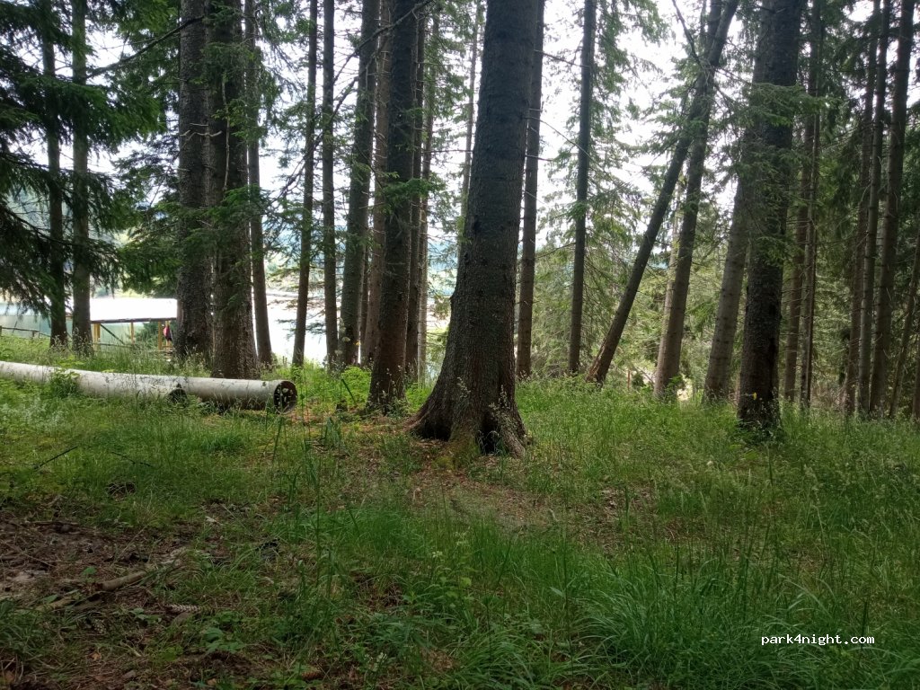 (4831) Dospat - Unnamed Road — foto
