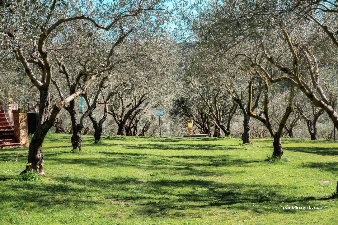 Agriturismo Bio Villa Gerace — foto 5