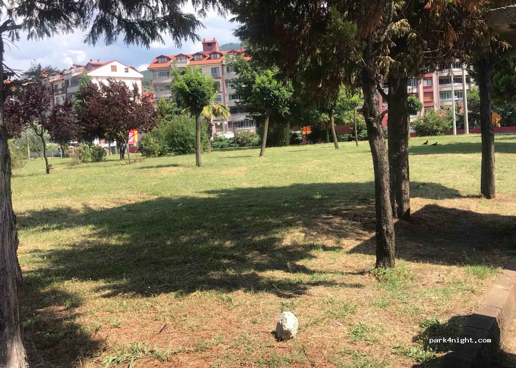 (67800) Zonguldak - 105 Alparslan Sokak — foto 2