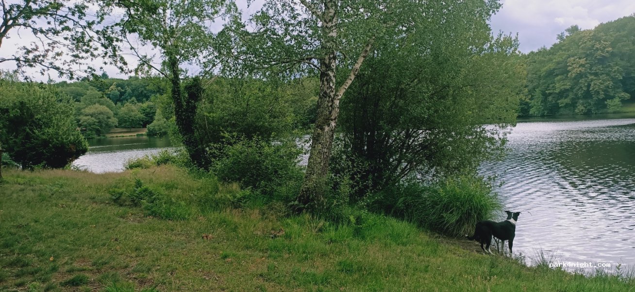(87250) Folles - Le Pont à l'Âge — foto 2