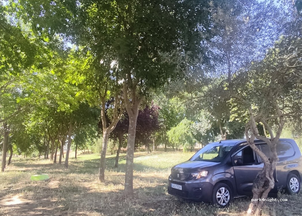 Area de Autocaravanas Logrosan — foto 3