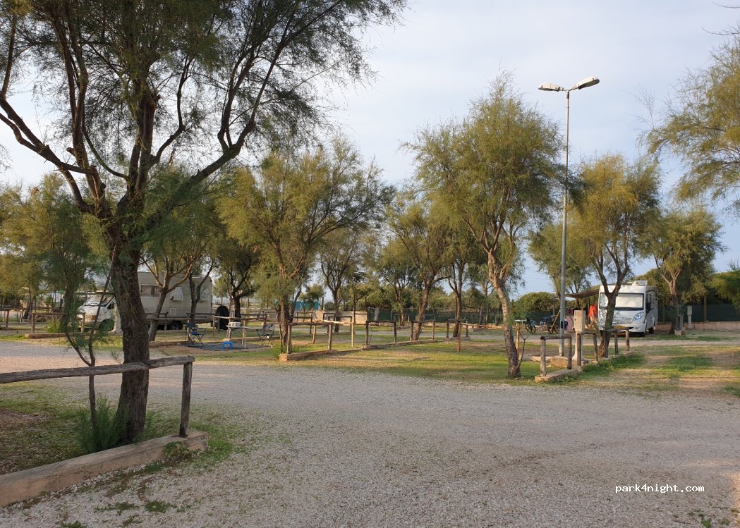 (71015) San Nicandro Garganico - SP41 — foto 2