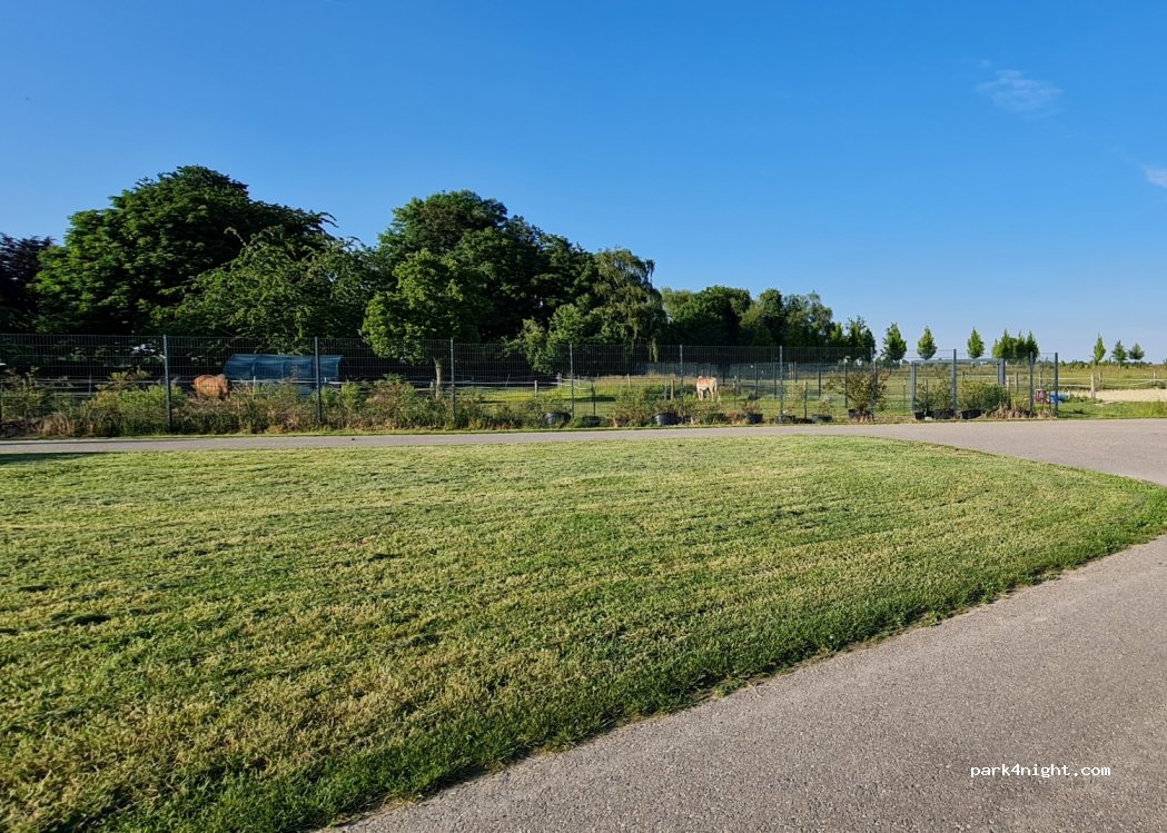 Bauernhof Familie Kamp — foto 4