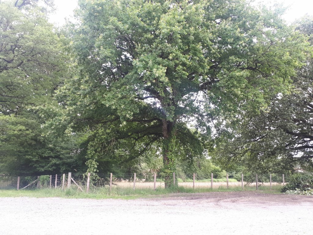 (87800) Saint-Maurice-les-Brousses - 1 Impasse Aime Labregere — foto