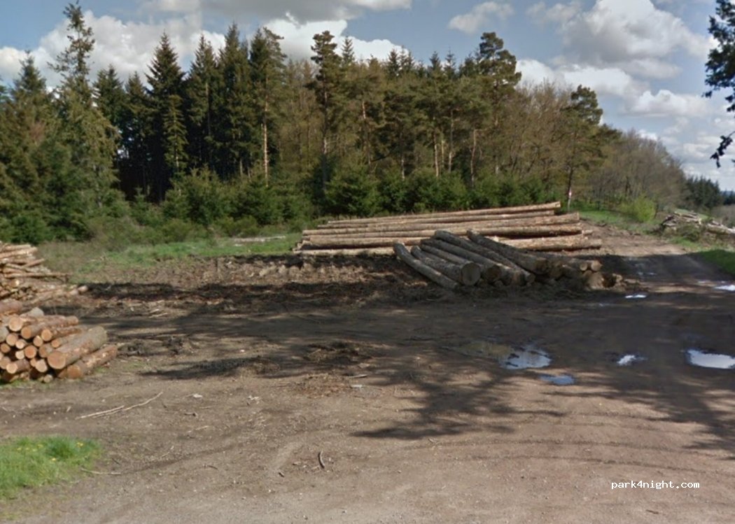 (69170) Les Sauvages - Le Charpenay — foto 3