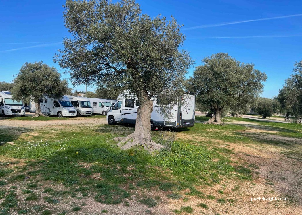 (70013) Castellana Grotte - 98 SP237 — foto 4