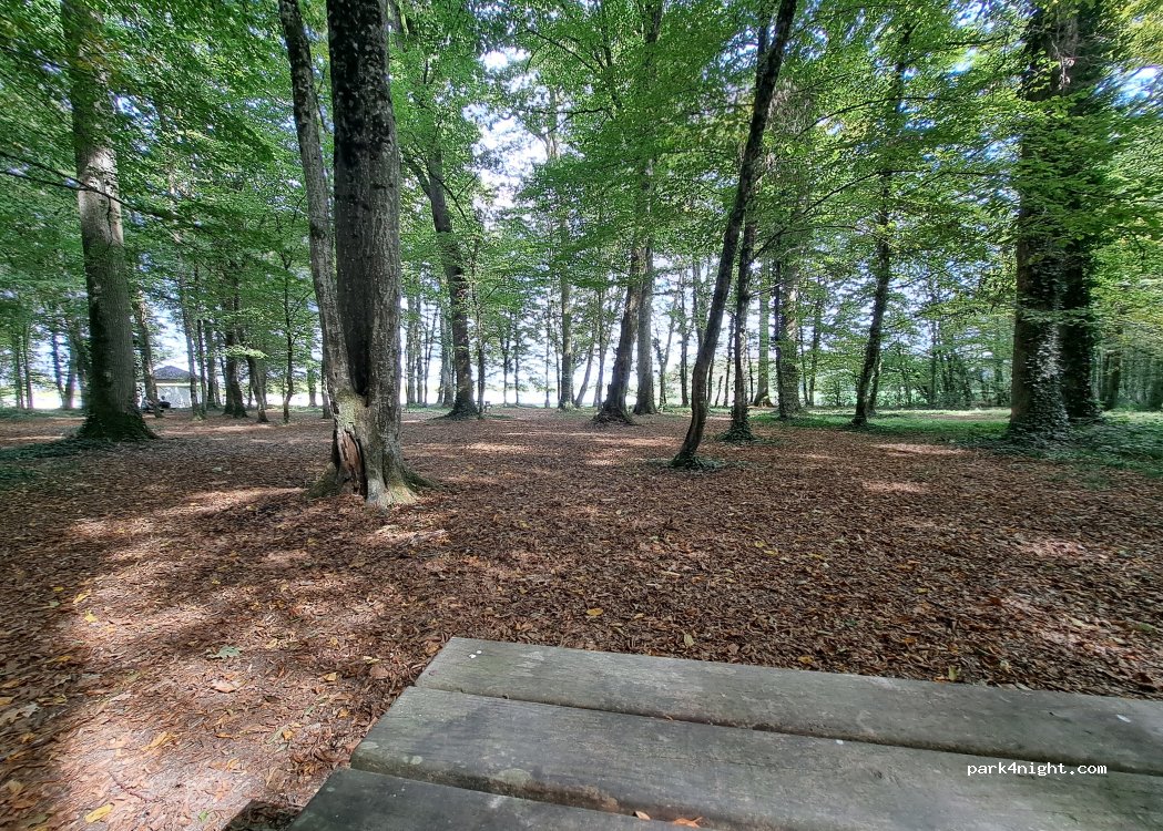 (51290) Larzicourt - Les Usages de Larzicourt — foto 5