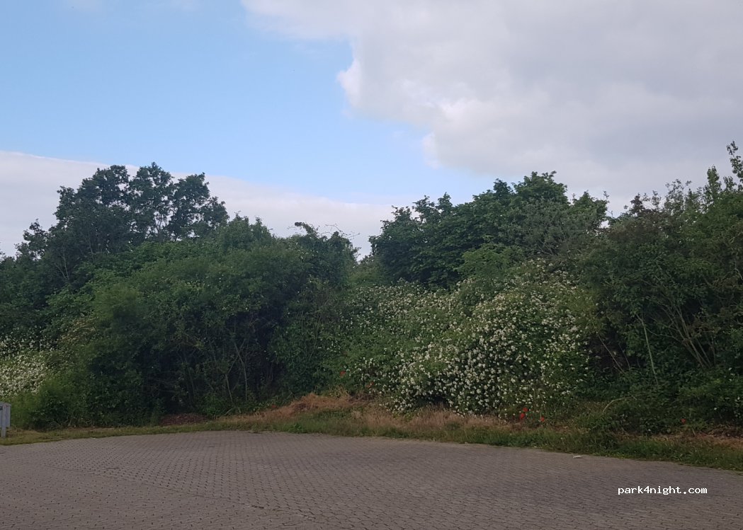 (38442) Wolfsburg - L294 — foto 4
