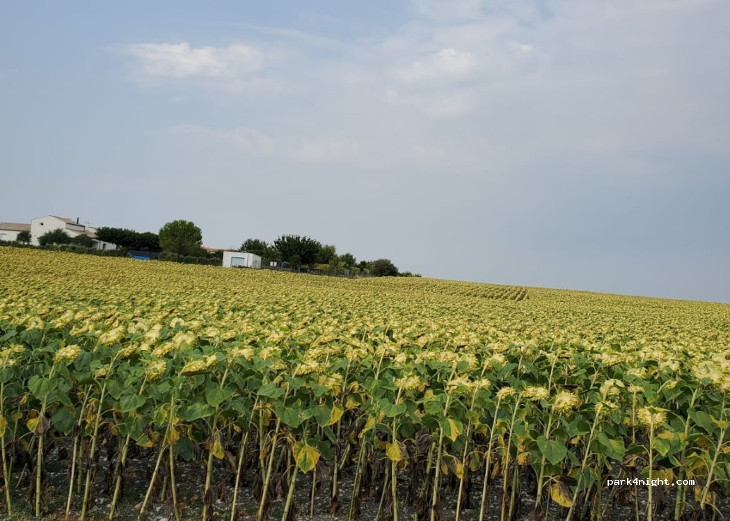 Camping La Valade — foto 5