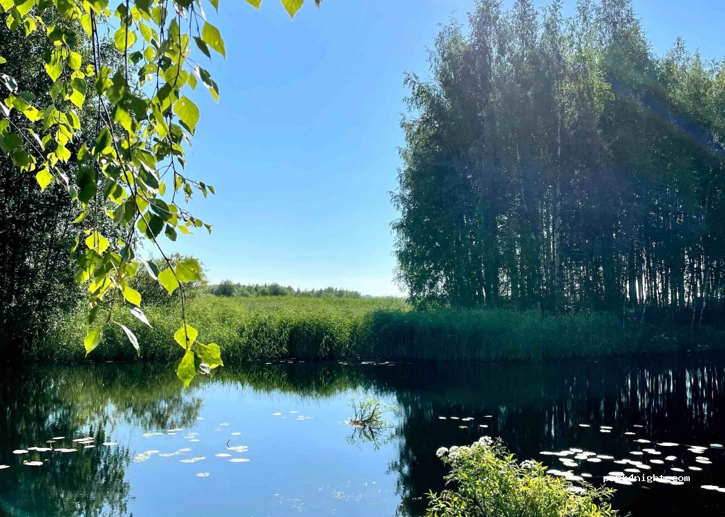 (79600) Joroinen - Unnamed Road — foto