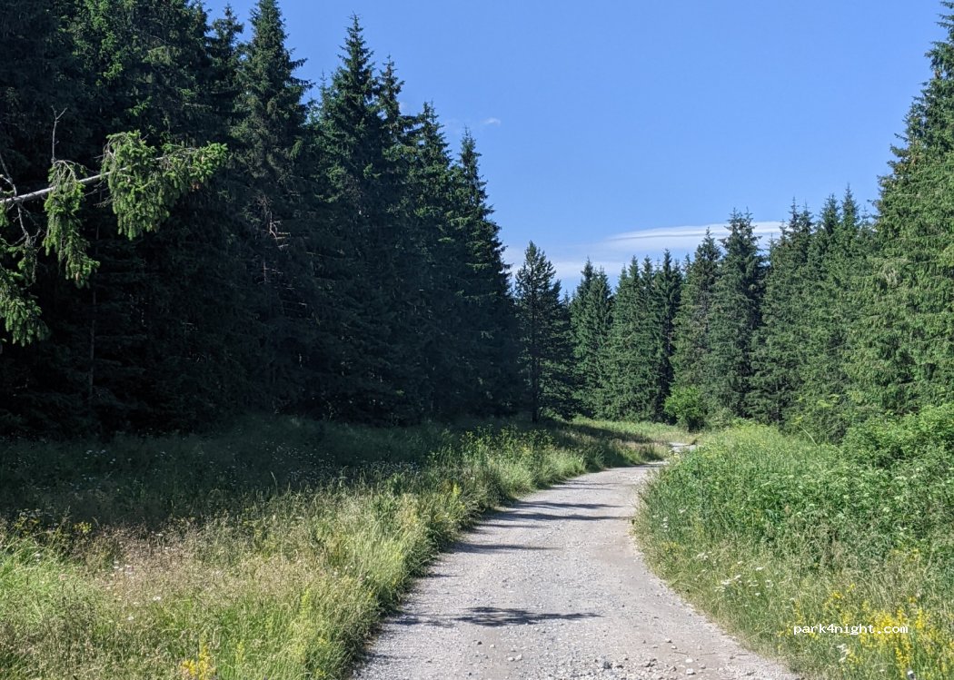 (2250) Gintsi - Unnamed Road — foto 3