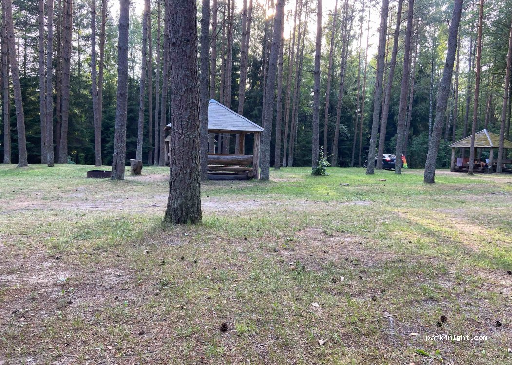 Campground "Paežerė" — foto