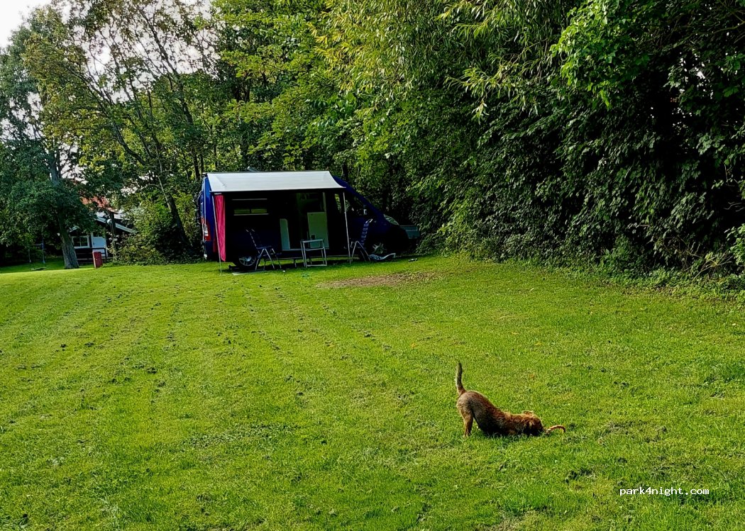 Restaurant Vigsø og Lohals Campingplads — foto 4