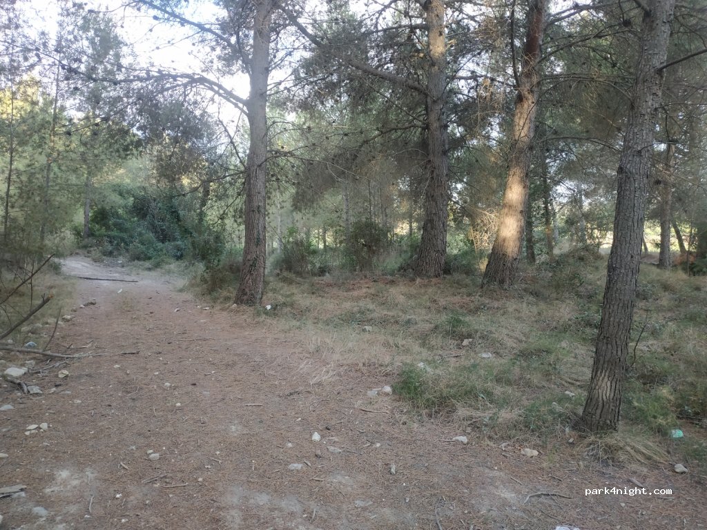 (08730) La Ràpita - Unnamed Road — foto