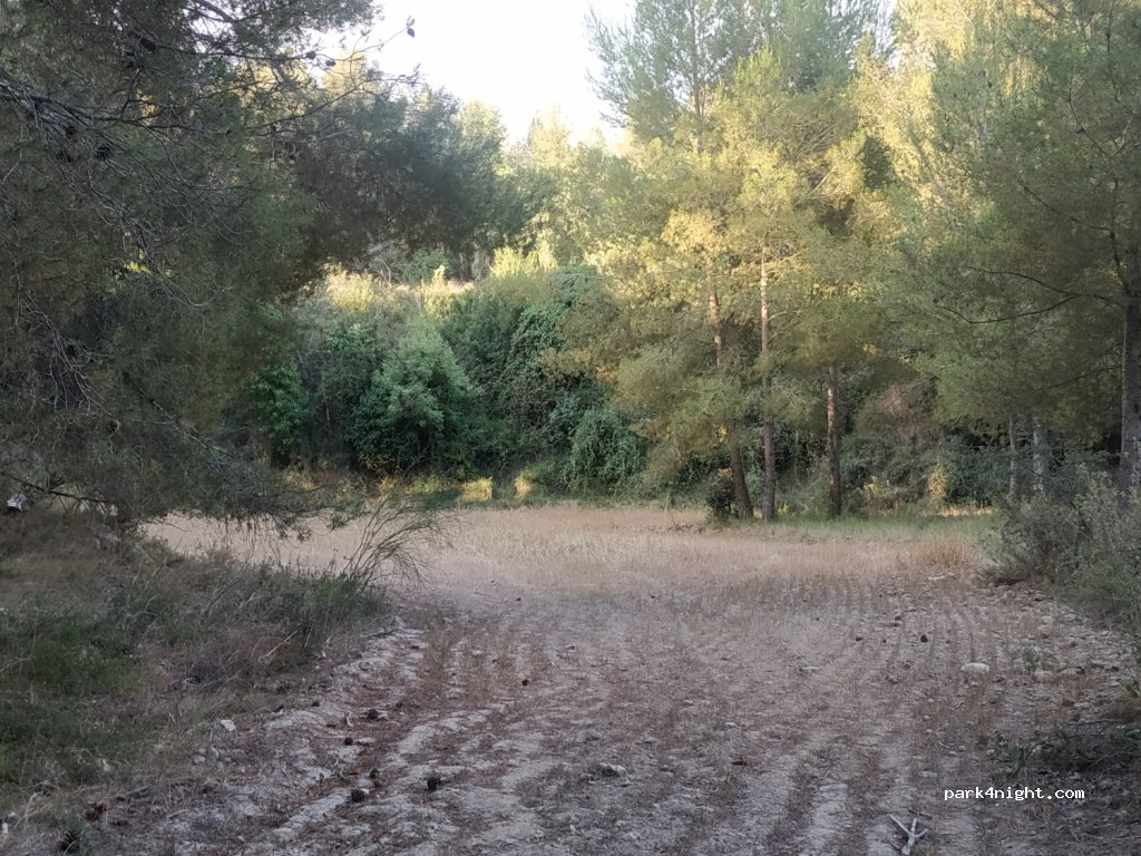 (08730) La Ràpita - Unnamed Road — foto 2