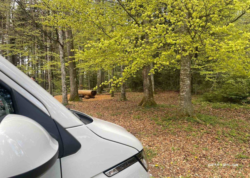 (1680) Romont - 42 Route des Trois Sapins — foto 4