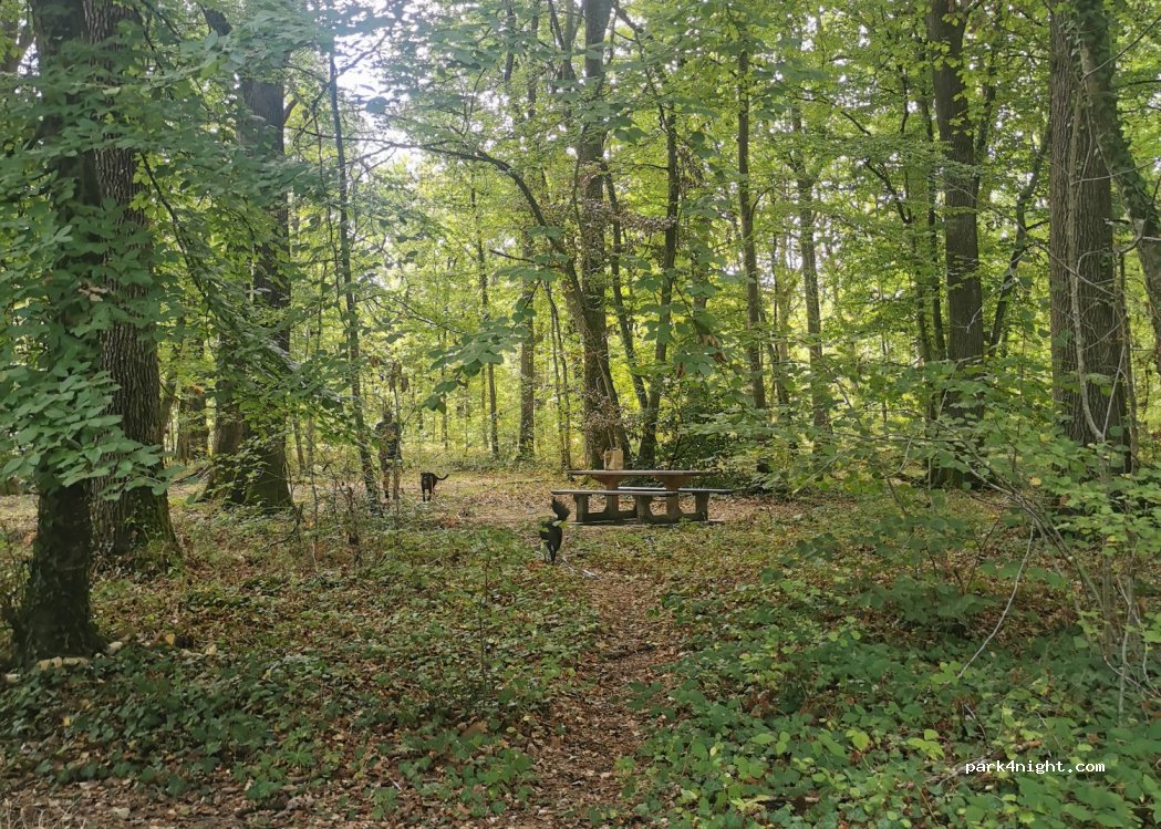 (36330) Le Poinçonnet - Route Forestière des Orangeons — foto 2