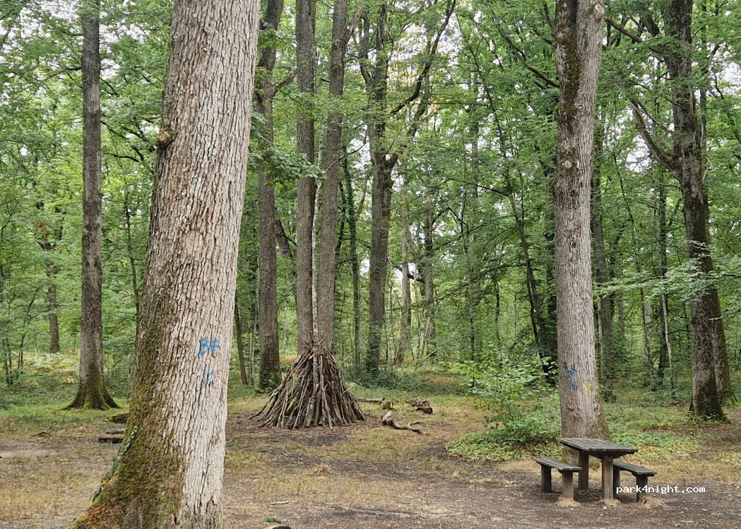 (36330) Le Poinçonnet - Route Forestière des Orangeons — foto 3