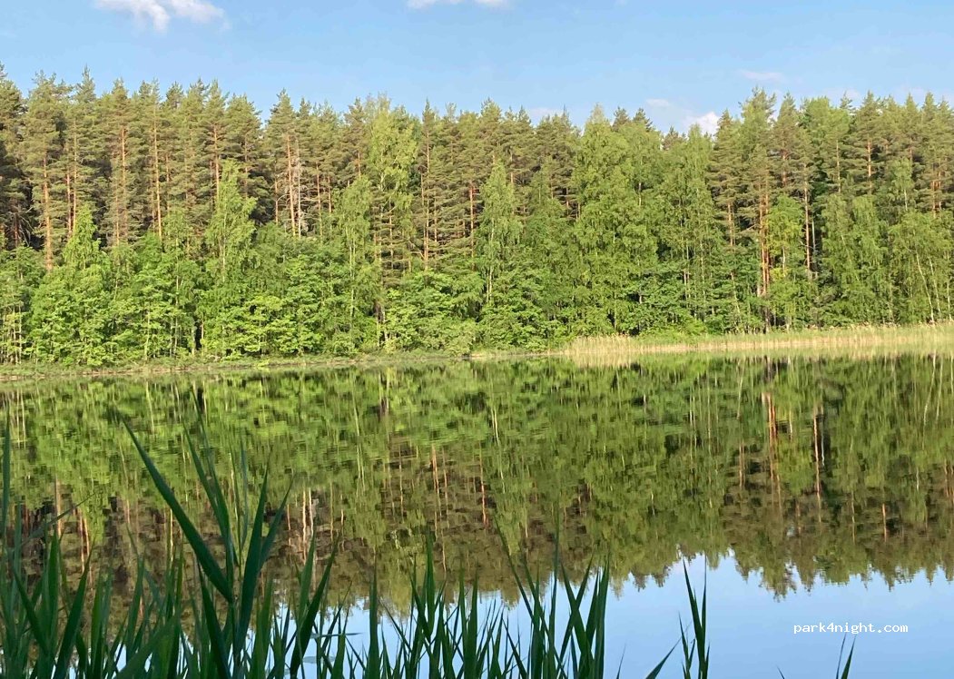 (52920) Kouvola - 610 Voikoskentie — foto 3