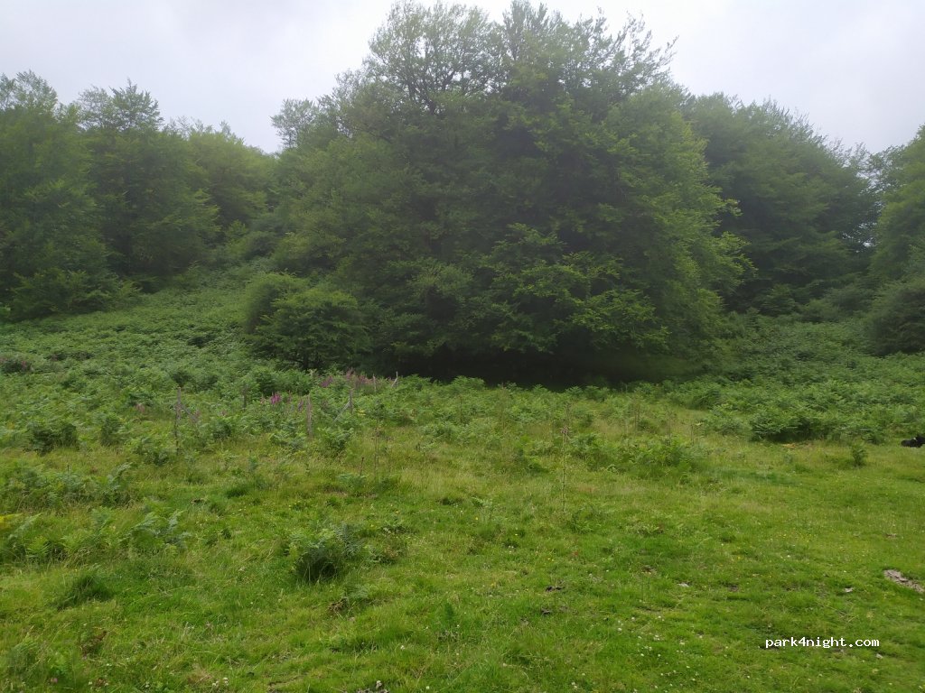 (64220) Saint-Michel - D428 — foto