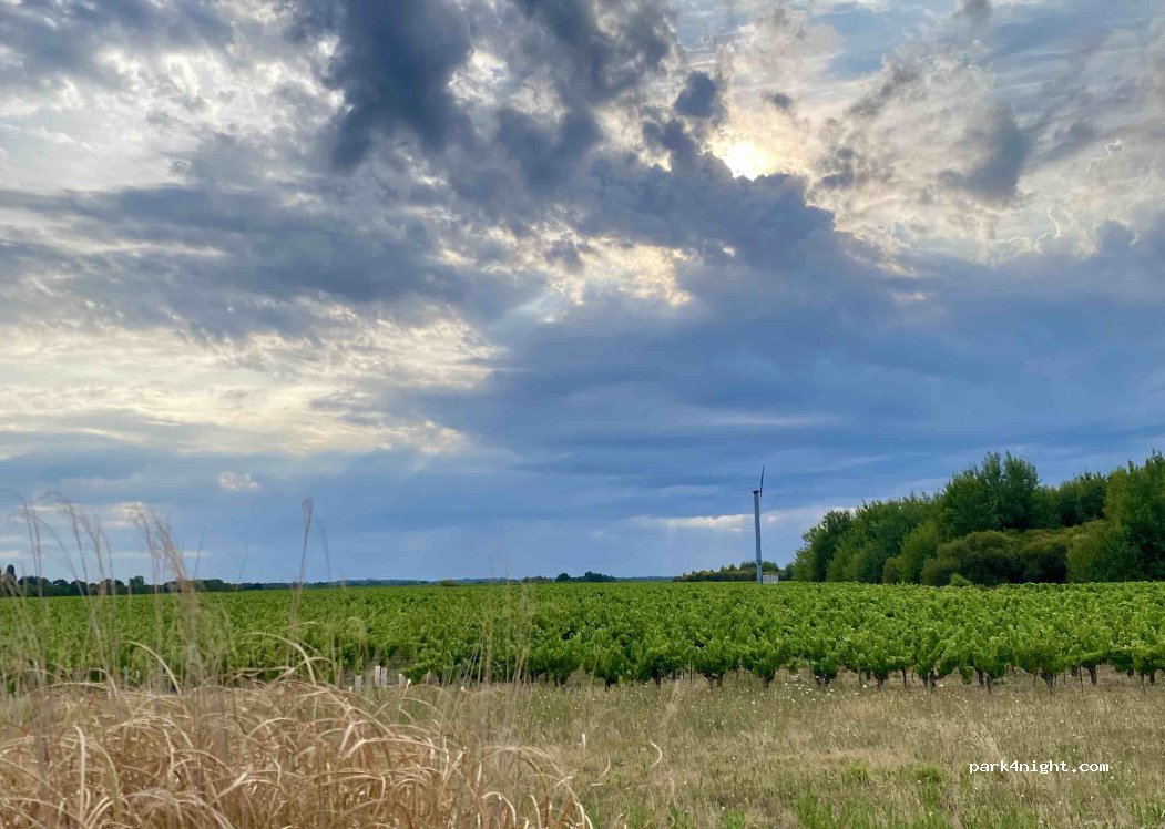 Domaine des Croix — foto 3