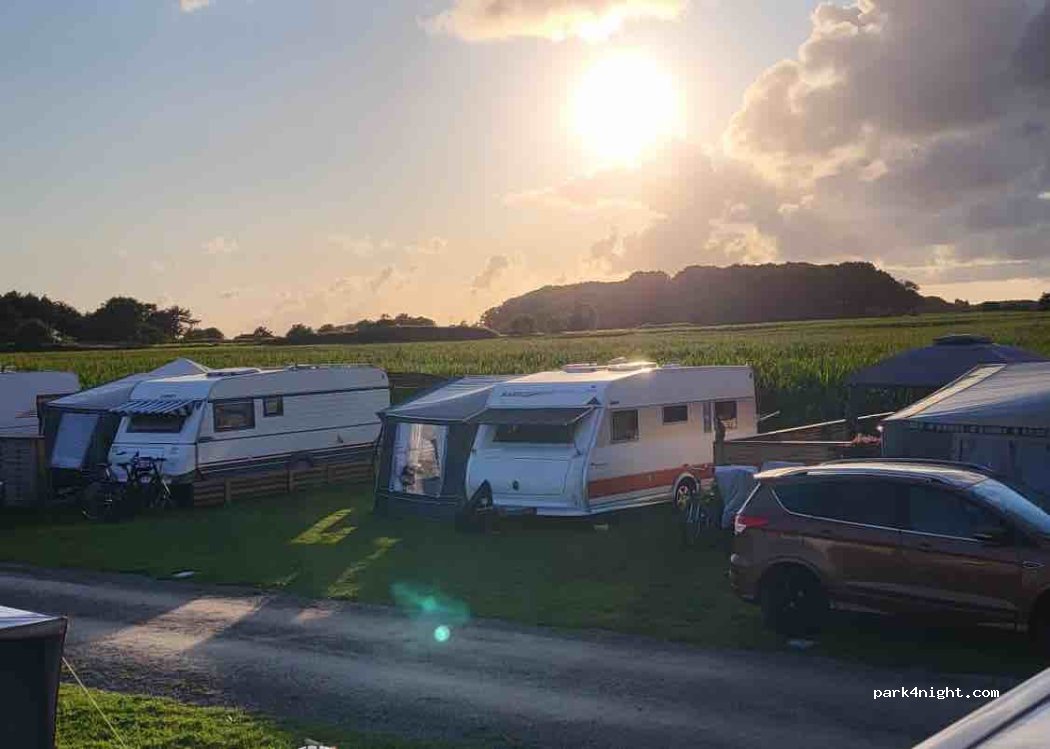 Rödlix vandrarhem och camping. — foto 2