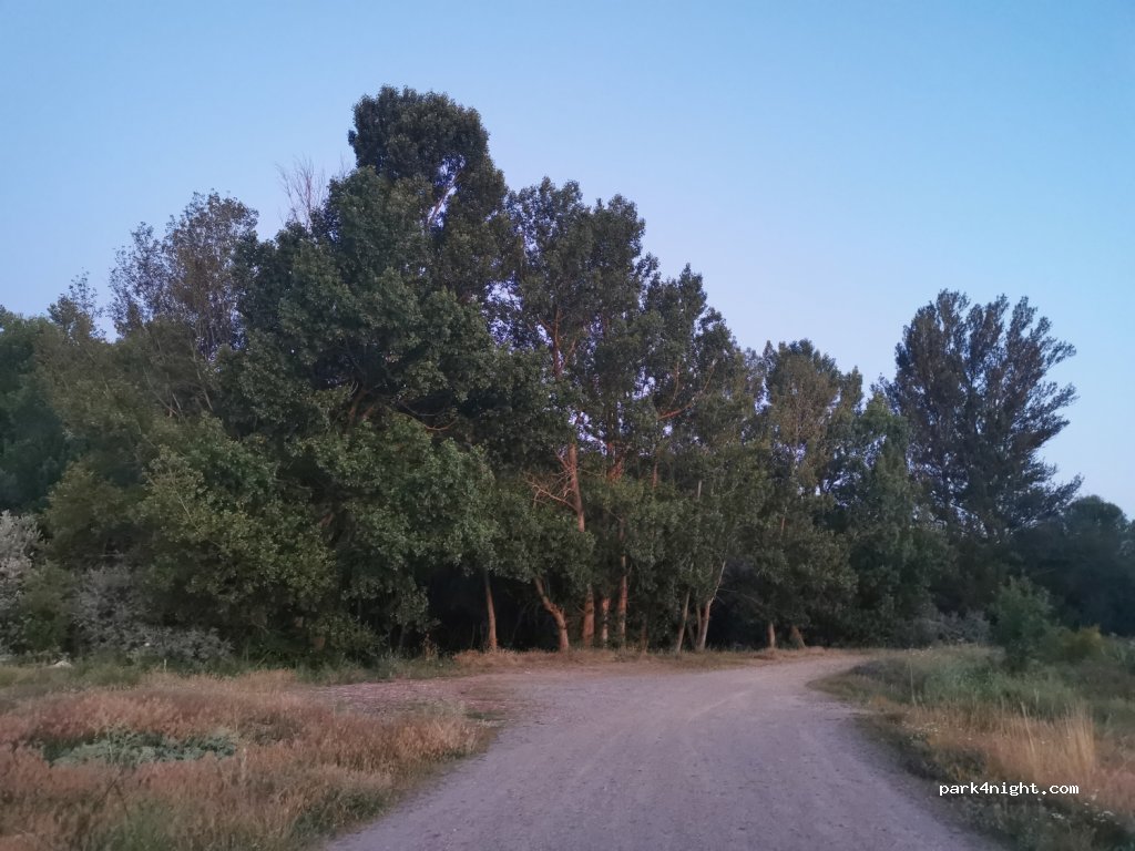 (42162) Garray - SO-801 — foto