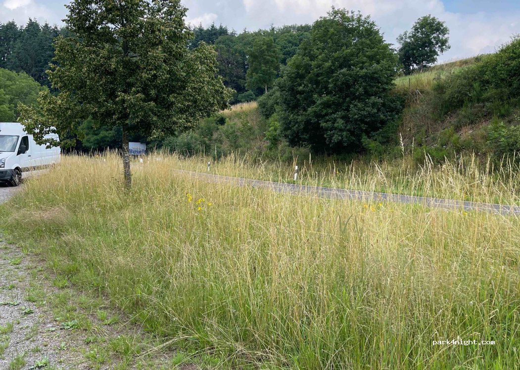 (9455) Tandel - 7-1 Dikricherstrooss — foto