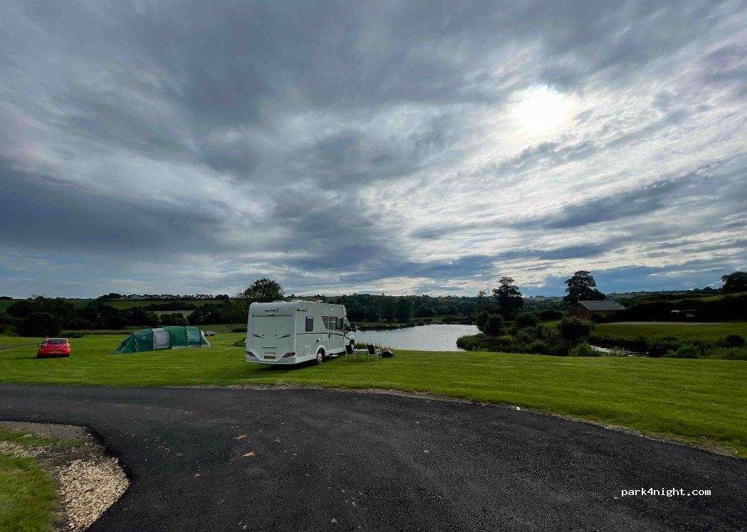 Fir tree campsite — foto