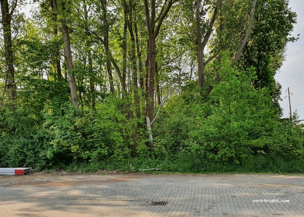 (38239) Salzgitter - 50A Hafenstraße — foto