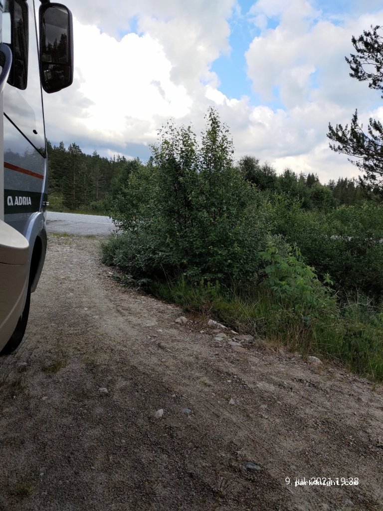 (4754) Hovden - 2 Fjellros Hyttegrend — foto