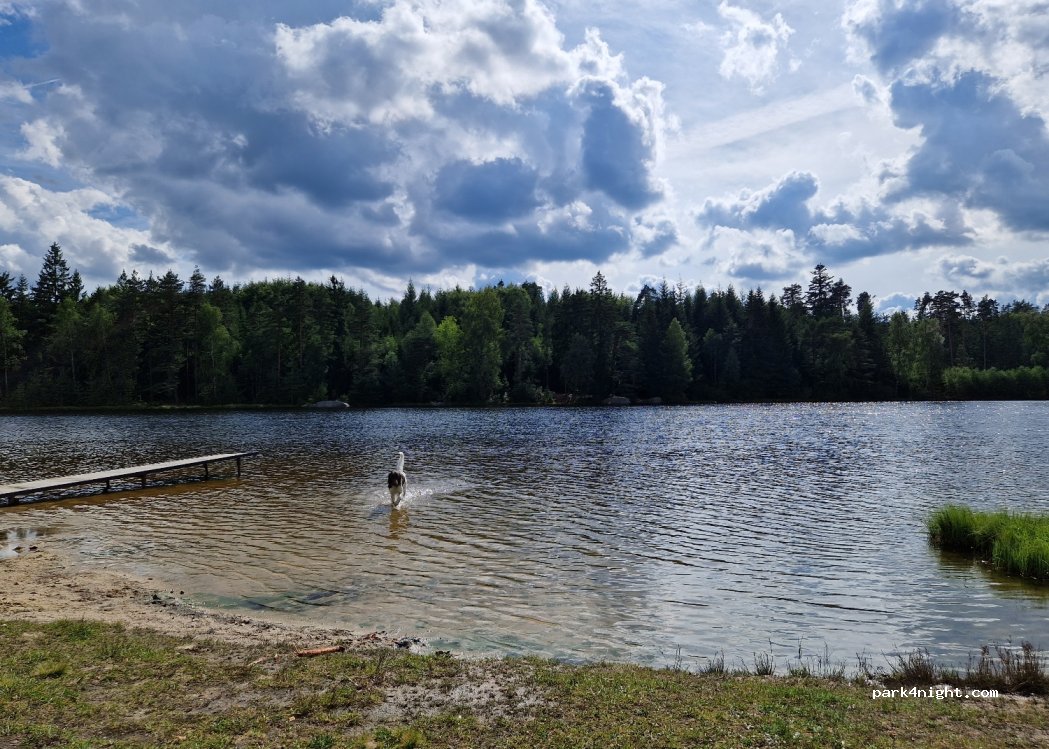 Camp Zvule — foto 2