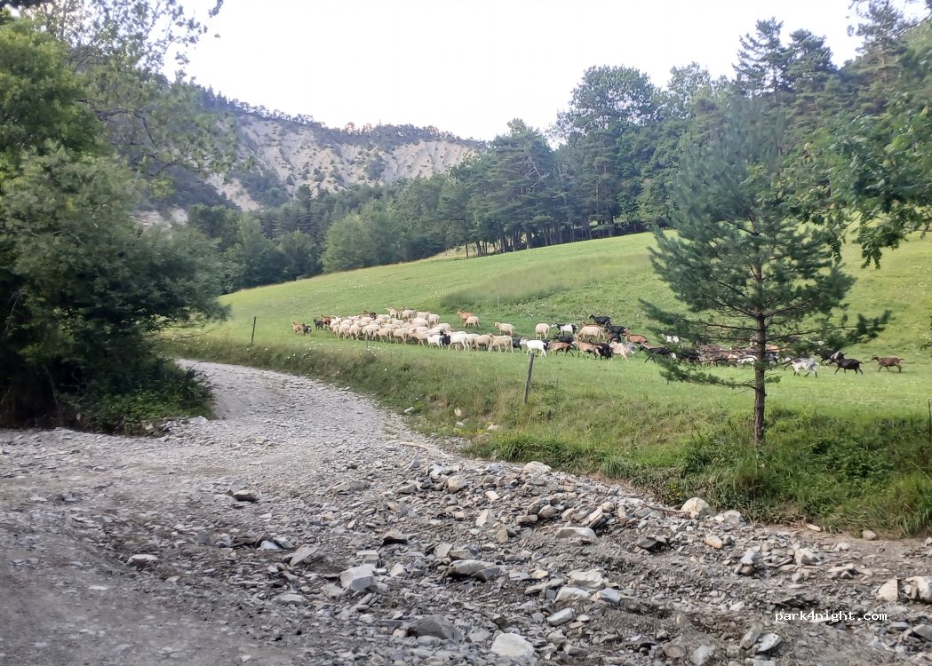 (38930) Saint-Martin-de-Clelles - Tresanne — foto 5