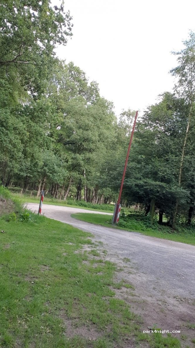 (7991 TP) Dwingeloo - Unnamed Road — foto