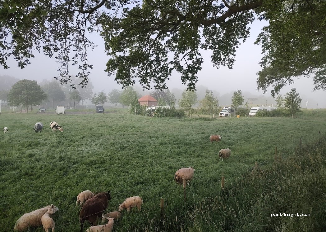 (7722 HA) Dalfsen - 3 Stationsweg — foto 3