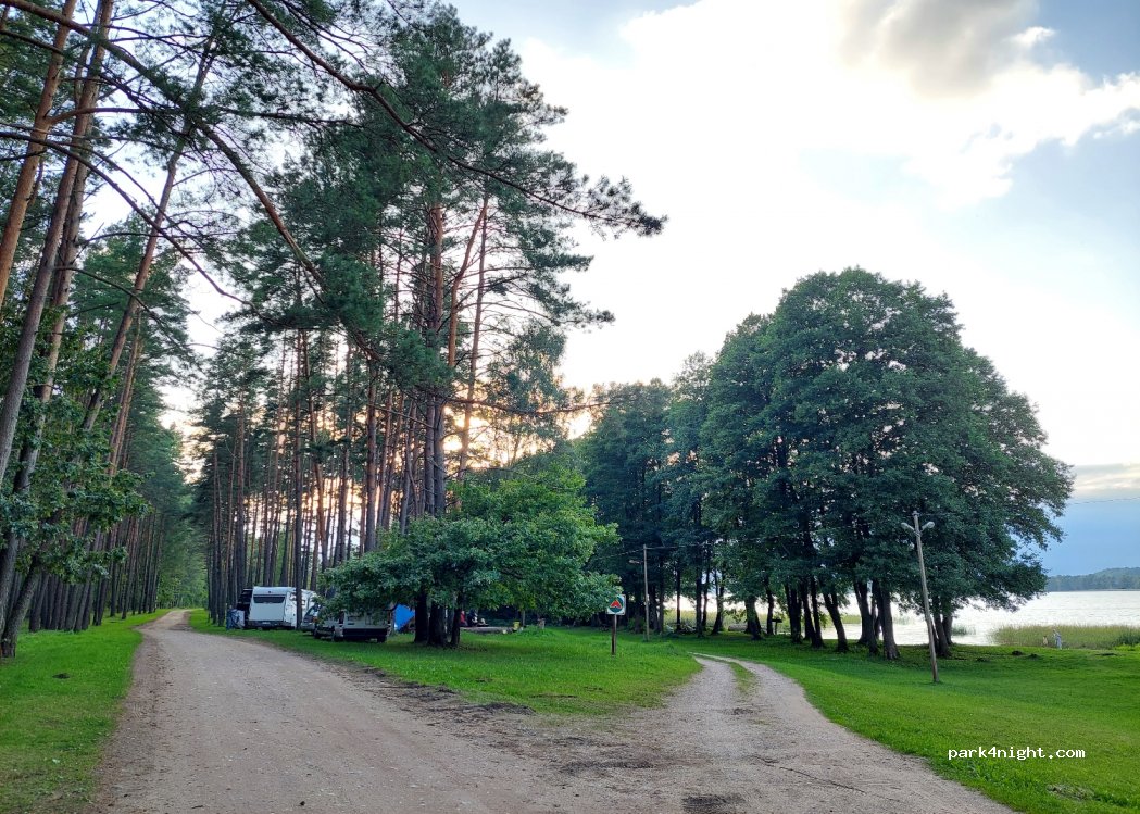 (30203) Palūšė - Pašakarvio gatvė — foto